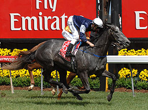 Horse Efficient and jockey Michael Rodd win the 2007 Melbourne Cup- AAP Image/Julian Smith