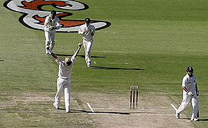 Australia's Brett Lee celebrates taking the wicket of India's Sachin Tendulkar - AP Photo/Rick Rycroft