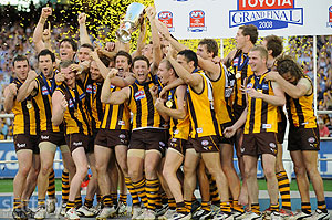 Hawthorn players celebrate their victory during the 2008 Toyota AFL Grand Final between the Geelong Cats and the Hawthorn Hawks at the MCG. - Slattery Images