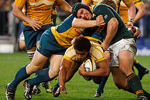 Dissecting the Springbok training squad - forwards