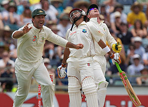 Australia's Ricky Ponting (left) and Brad Haddin (right) celebrate the wicket of the West Indies' Ramnaresh Sarwan for 11, in the third test match at the WACA ground in Perth, Saturday, Dec. 19, 2009. (AAP Image/Tony McDonough)