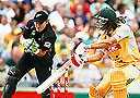 Australian Twenty20 cricket. AAP images