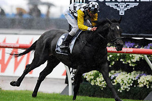 Tavistock filling the void left by High Chaparral