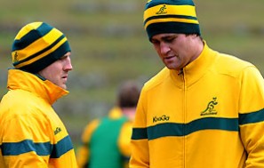 Who should play second row for the Wallabies?