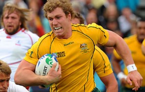 What does Pocock's injury mean for the Wallabies?