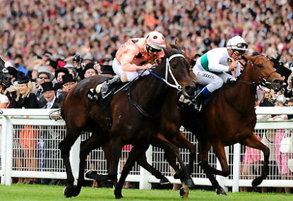 Horse Racing: Top 10 highlights of the 2011/2012 season