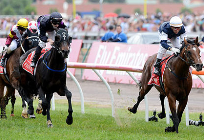 Why the 2013 Melbourne Cup already has its favourite‏