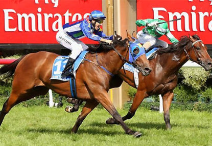 Super Cool aimed for Cox Plate, Fiveandahalfstar to sit out Spring Carnival