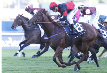 2014 Mackinnon Stakes: Derby Day live updates, preview, tips and results