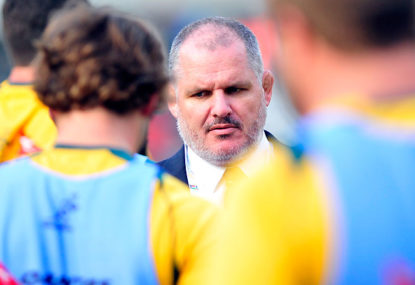 Wallabies and Irish coaching regimes have much in common