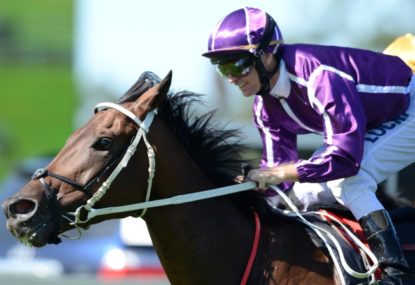 Top eight to watch at the 2015 Makybe Diva Stakes