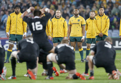 Wallaby strategy leading into the 2015 Rugby World Cup