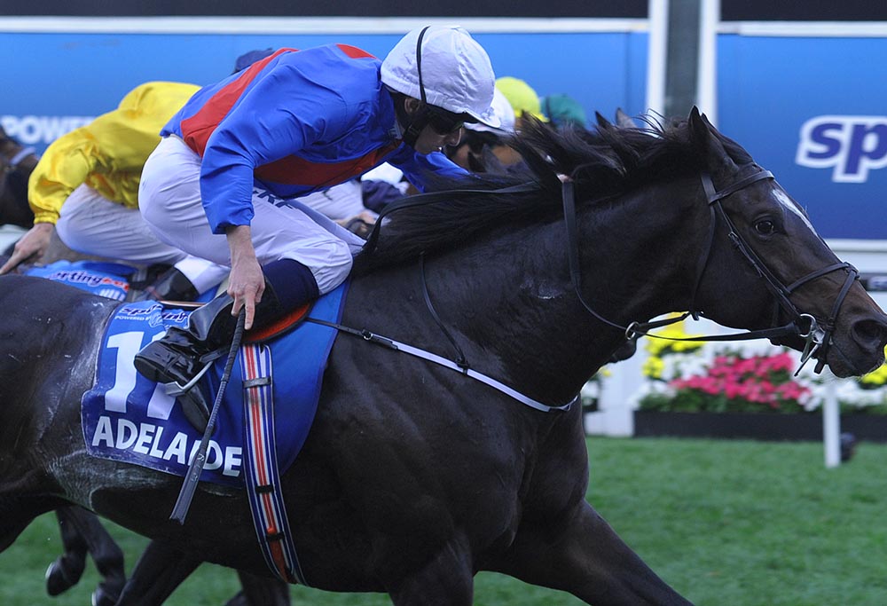 Adelaide ridden by Ryan Moore wins the Cox Plate at Moonee Valley Racecourse in Melbourne, Saturday, Oct. 25, 2014. The Cox Plate is part of the month long Spring Racing Carnival.