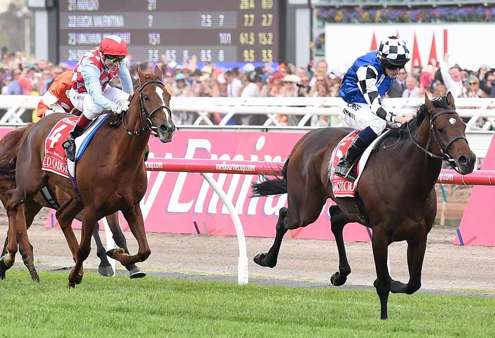 Melbourne Cup 2014 winner Protectionist followed closely by second and third placers, Red Cadeaux and Who Shot Thebarman