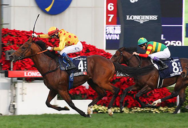 Akeed Mofeed under Douglas Whyte edges Tokei Halo to win the 2013 Hong Kong Cup.