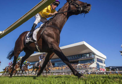 2015 Warwick Stakes preview