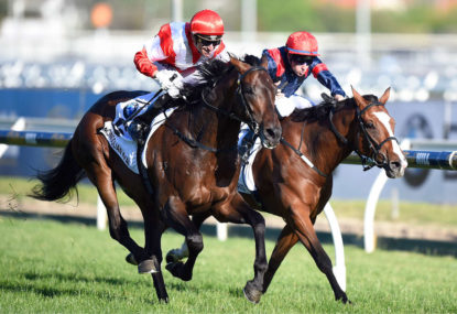 2015 Melbourne Cup: Preview and top tips