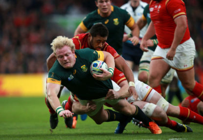 South Africa beat Wales to lock up clash with barnstorming All Blacks