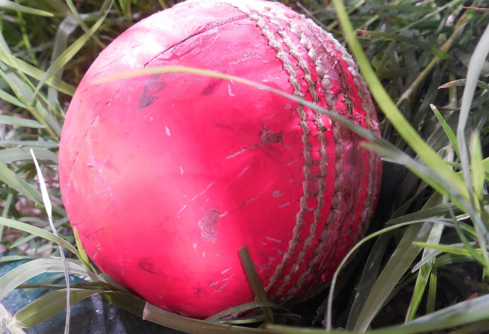 pink-ball-cricket