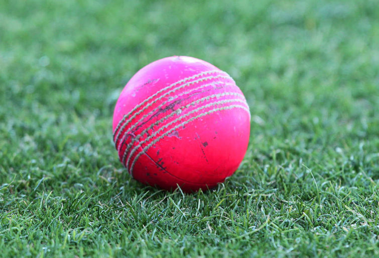 Pink Cricket Ball