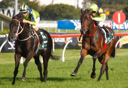 Rosehill March 31 quaddie preview