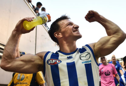AFL top 100: The champions of North Melbourne