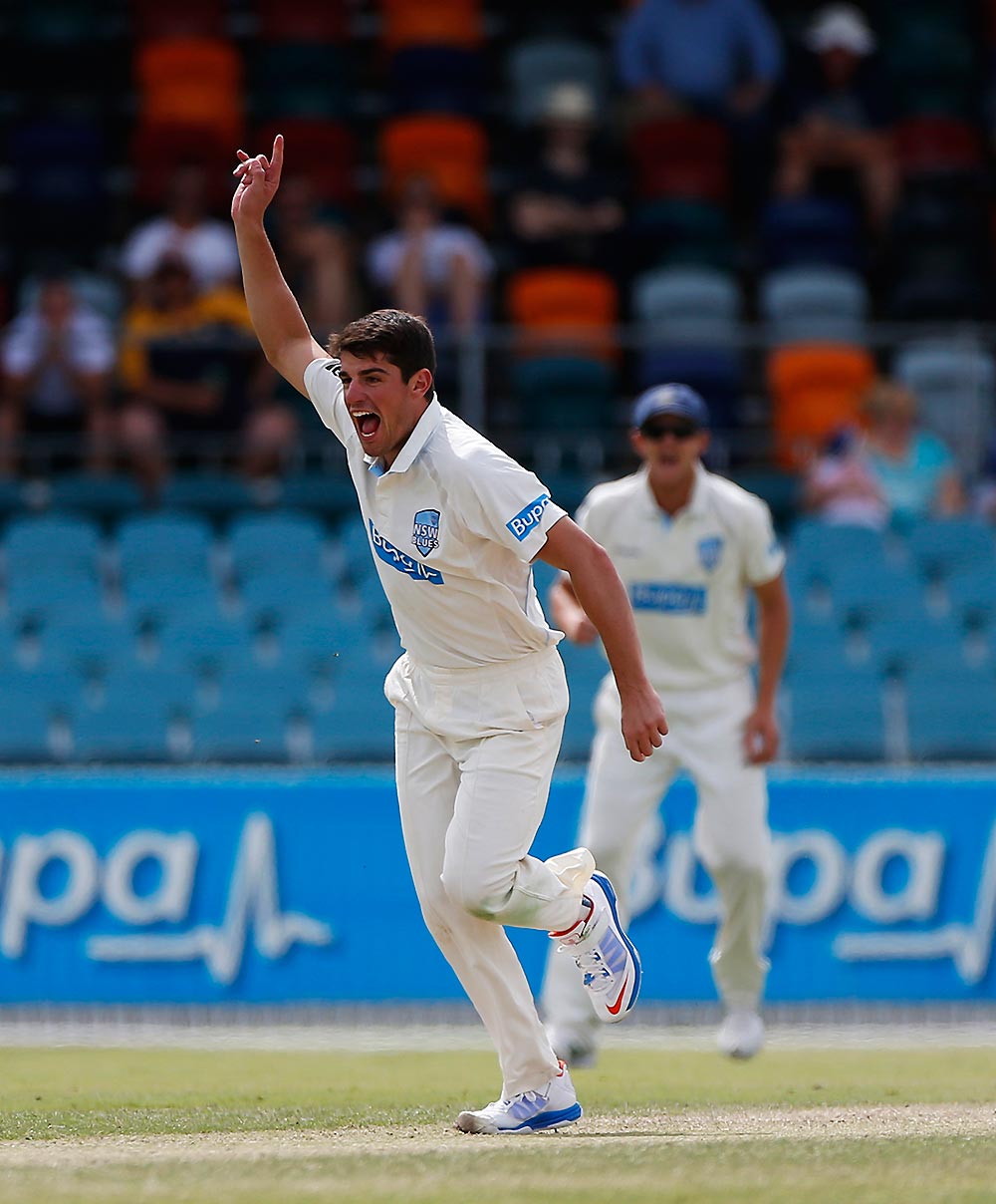 Blues Moises Henriques celebrates after taking the wicket