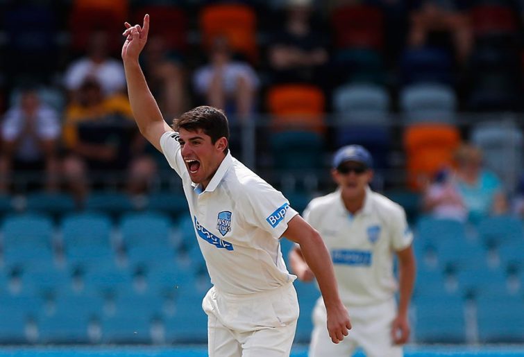 Blues Moises Henriques celebrates after taking a wicket
