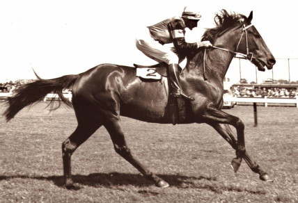 Rising Fast won the Spring Racing grand slam in 1954 (Wikipedia).
