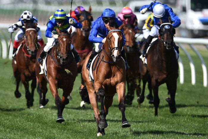 Hartnell is flying and is a huge chance in the Cox Plate