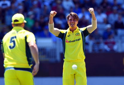 Stoinis saves the nation