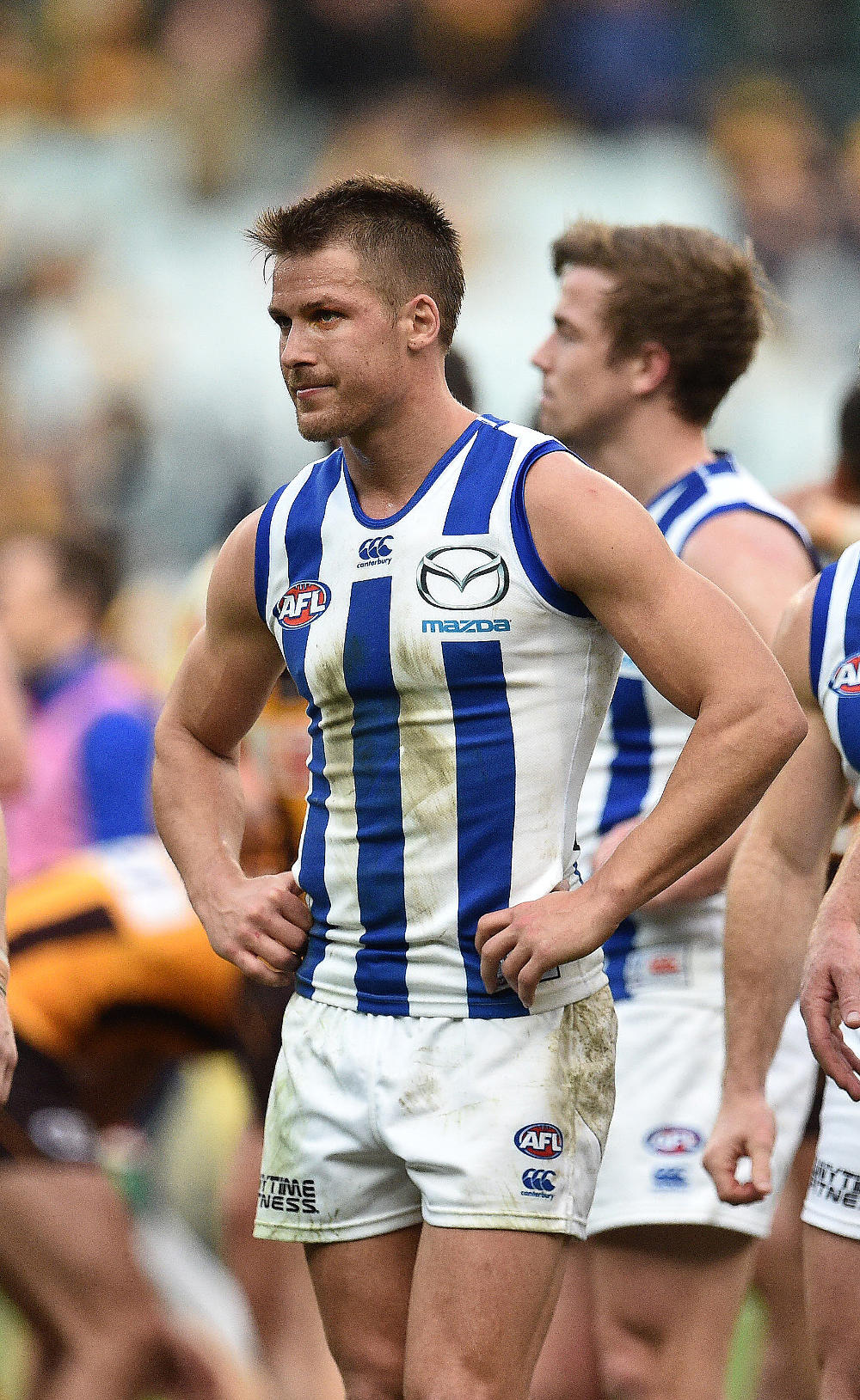North Melbourne Kangaroos Andrew Swallow AFL 2017 tall
