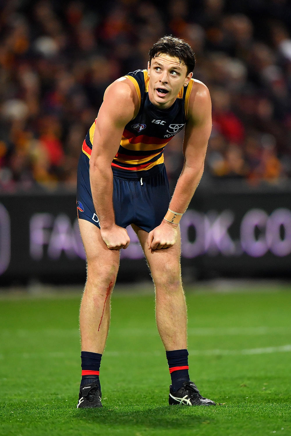 Jake Lever Adelaide Crows AFL 2017 tall