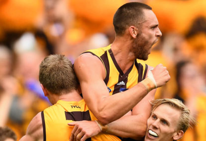 Hawthorn 2019 season preview, best 22 and predicted finish