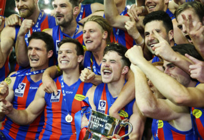 Port Melbourne win 2017 VFL Grand Final as Tigers miss after the siren