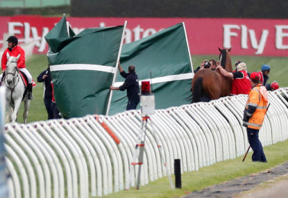 Regal Monarch euthanised after horror fall on Melbourne Cup Day