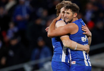 Hard lessons learnt help Roos down Dogs
