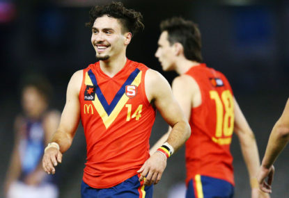 Trade period and draft analysis: Adelaide Crows