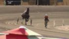 Former Tour de France cyclist races a horse, because of course