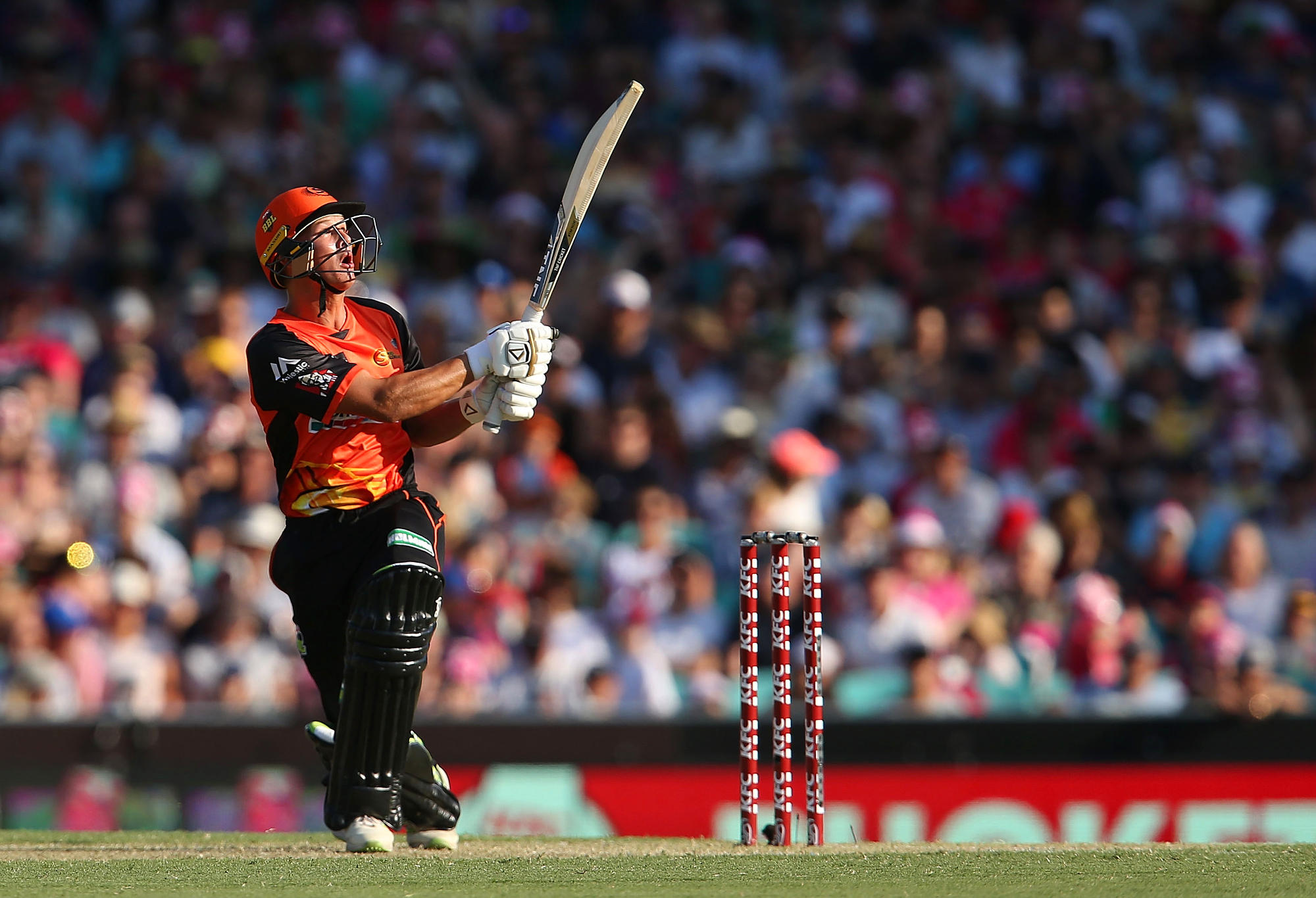 Josh Philippe of the Scorchers bats during the Big Bash League match between the Sydney Sixers and the Perth Scorcher at Sydney Cricket Ground on December 23, 2017 in Sydney, Australia. 