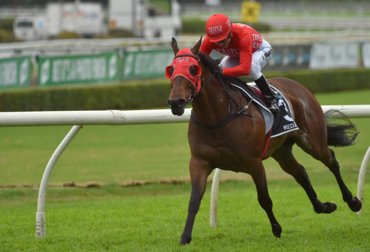 Redzel wins the inaugural running of The Everest