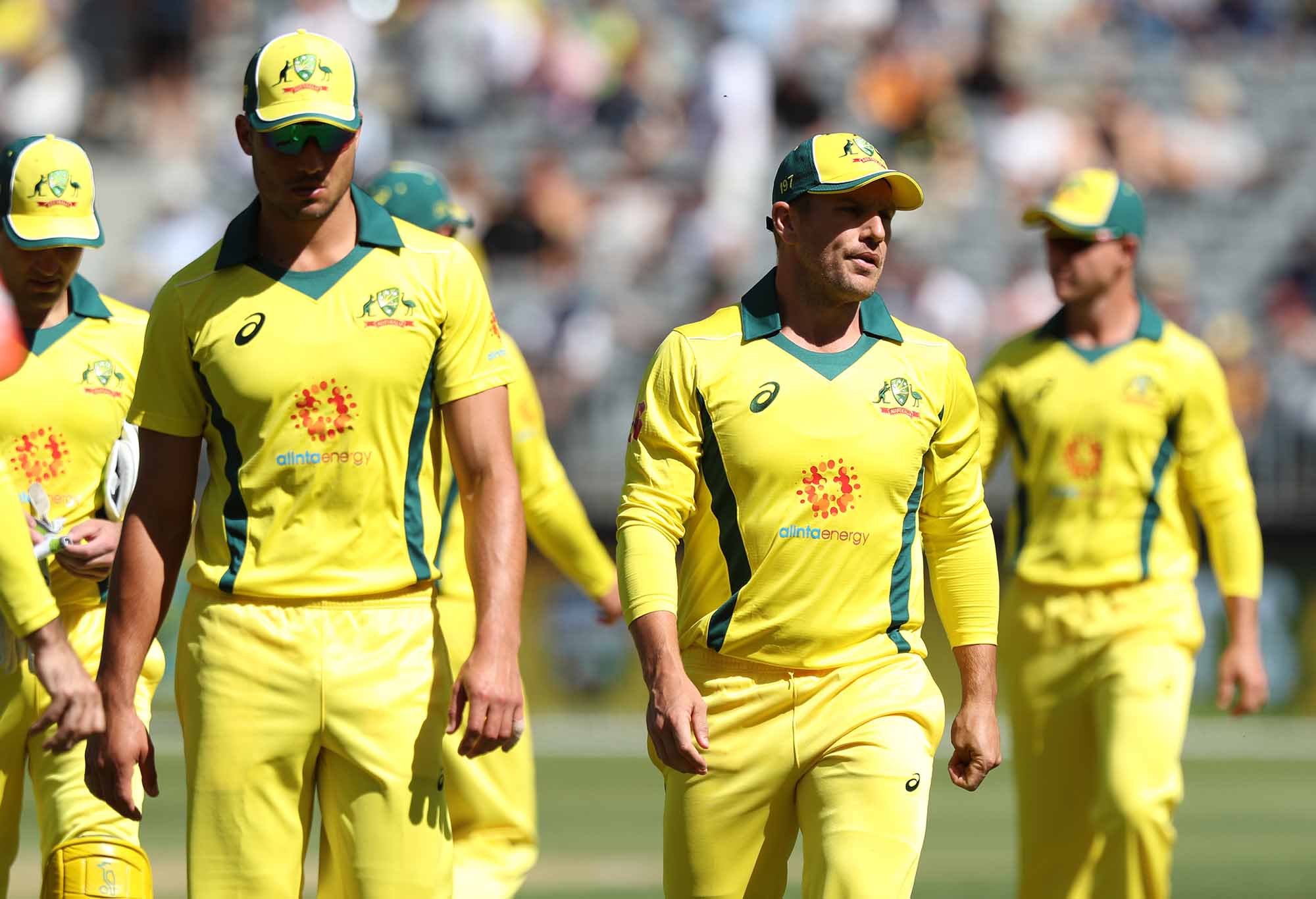 Aaron Finch and the disappointed Aussies