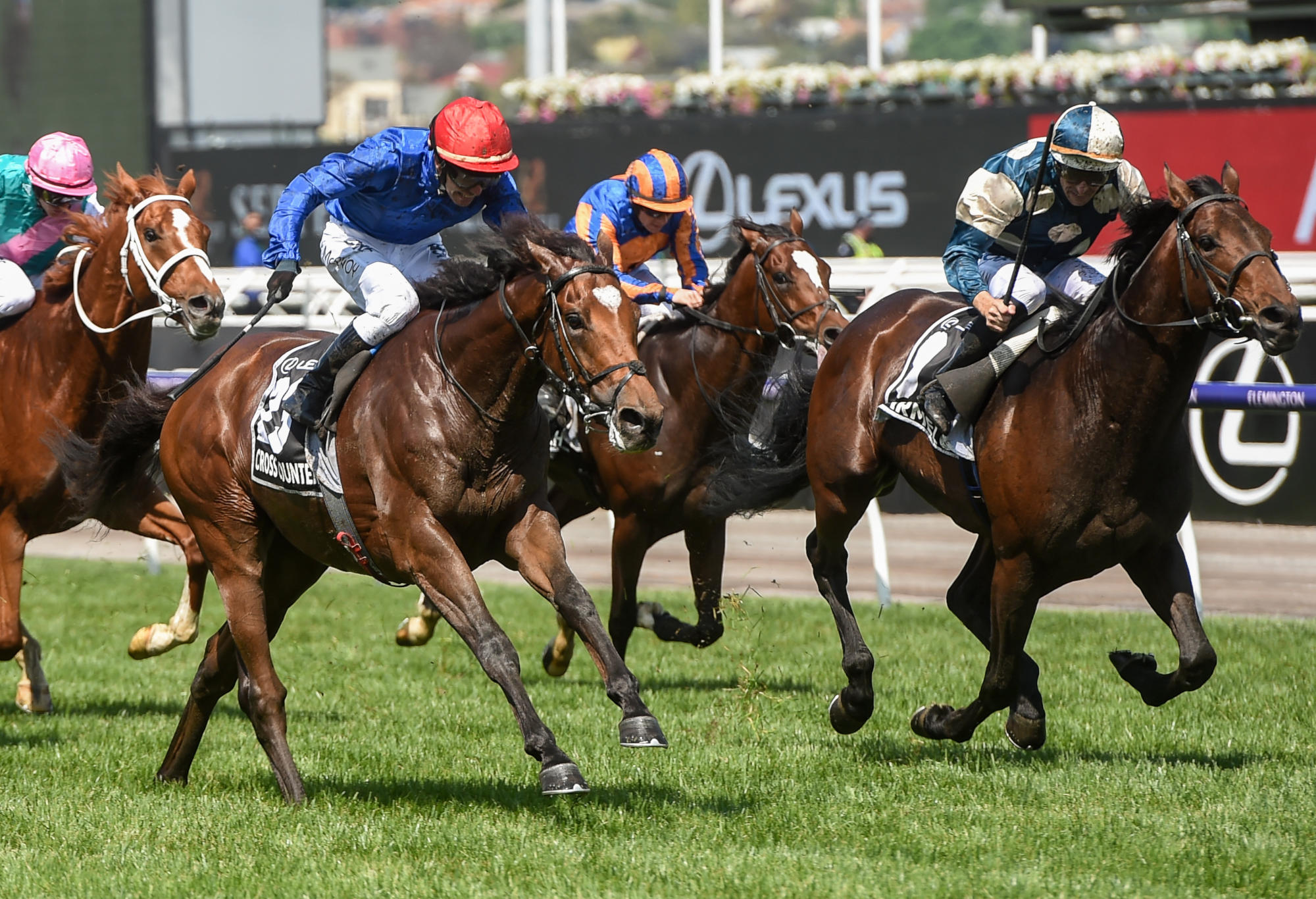 Cross Counter beats the field to win the 2018 Melbourne Cup.