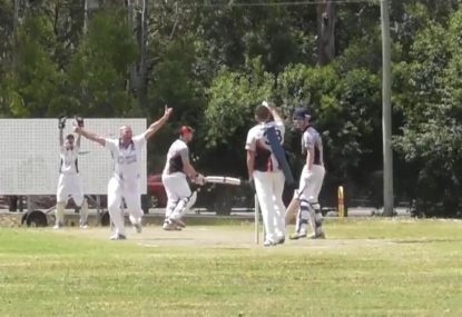 Umpire's lightning LBW decision is a sure-fire indicator the beers are cold