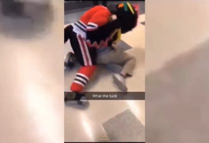 NHL team mascot gets into ferocious fight with fan