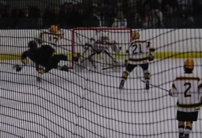 Ice hockey player WIPED OUT from blindside hit