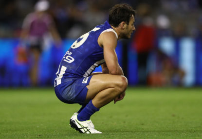 Why North Melbourne are neither as good nor as bad as people think