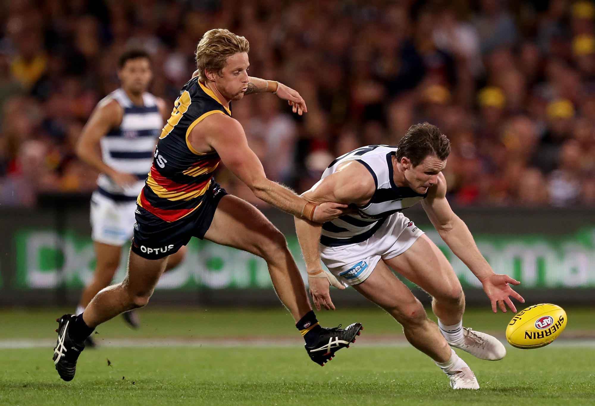 Rory Sloane chases Patrick Dangerfield