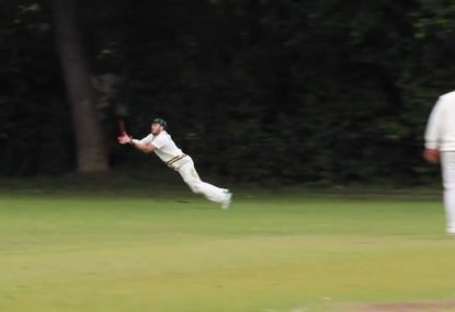 Fielder's superb diving catch sets the bar for park cricketers everywhere
