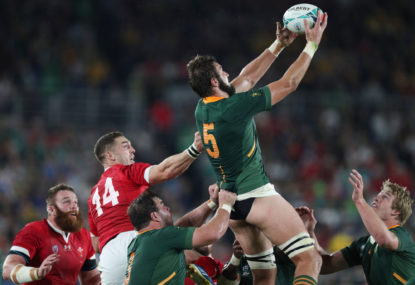 Top of the Boks: South Africa join England in World Cup Final